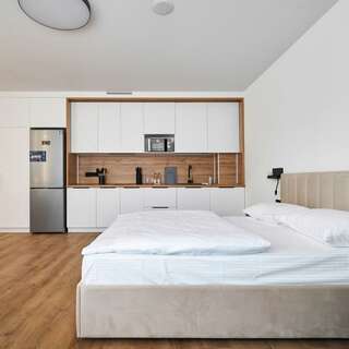 Гостиница Премьер Екатеринбург Studio Business-4